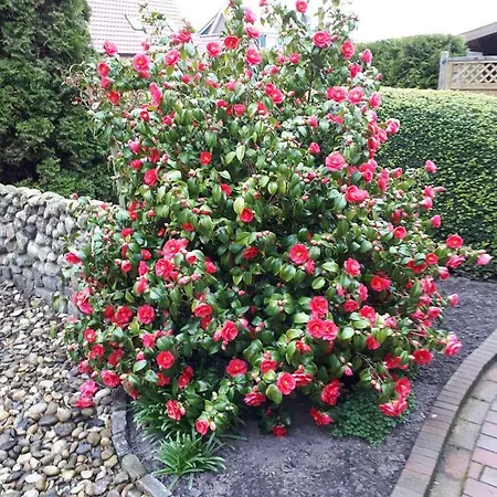 Preisbewusste Für 2 Personen U. Kleinkind * Utarp