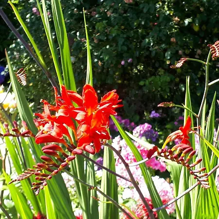 Preisbewusste Für 2 Personen U. Kleinkind Utarp