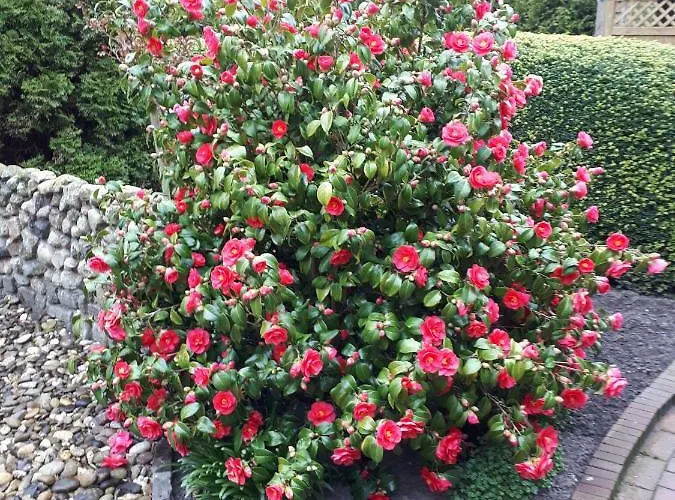 Preisbewusste Fuer 2 Personen U. Kleinkind * Utarp